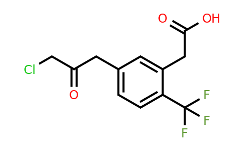 1805701-62-5 | 5-(3-Chloro-2-oxopropyl)-2-(trifluoromethyl)phenylacetic acid