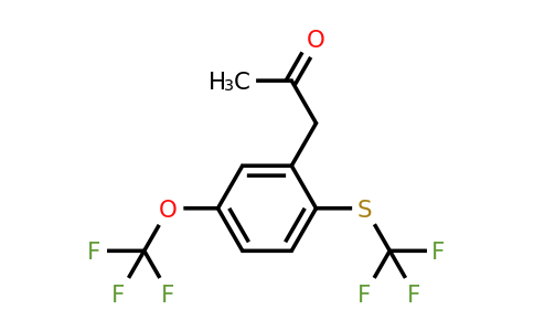 1805723-75-4 | 1-(5-(Trifluoromethoxy)-2-(trifluoromethylthio)phenyl)propan-2-one