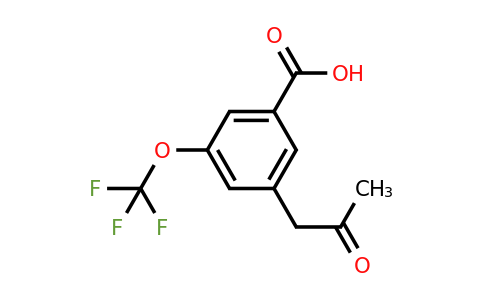 1805724-35-9 | 3-(2-Oxopropyl)-5-(trifluoromethoxy)benzoic acid