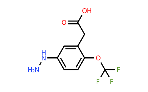 1805724-55-3 | 5-Hydrazinyl-2-(trifluoromethoxy)phenylacetic acid