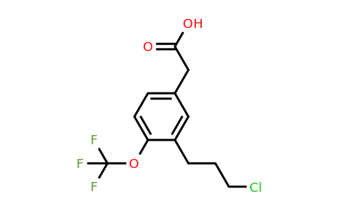 1805724-78-0 | 3-(3-Chloropropyl)-4-(trifluoromethoxy)phenylacetic acid