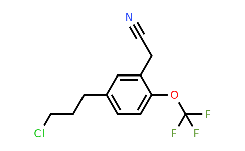 1805725-39-6 | 5-(3-Chloropropyl)-2-(trifluoromethoxy)phenylacetonitrile