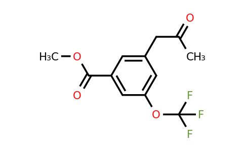 1805726-02-6 | Methyl 3-(2-oxopropyl)-5-(trifluoromethoxy)benzoate