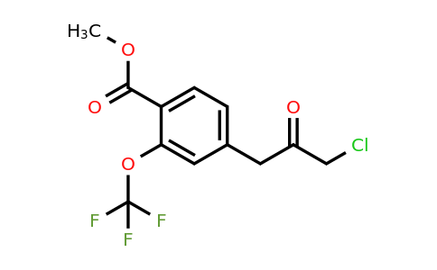 1805726-10-6 | Methyl 4-(3-chloro-2-oxopropyl)-2-(trifluoromethoxy)benzoate