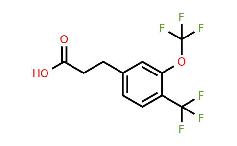1805728-94-2 | 3-(3-(Trifluoromethoxy)-4-(trifluoromethyl)phenyl)propanoic acid
