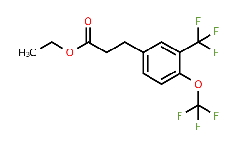 1805728-99-7 | Ethyl 3-(4-(trifluoromethoxy)-3-(trifluoromethyl)phenyl)propanoate