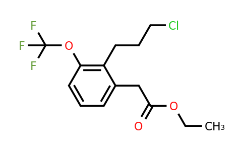 1805732-25-5 | Ethyl 2-(3-chloropropyl)-3-(trifluoromethoxy)phenylacetate