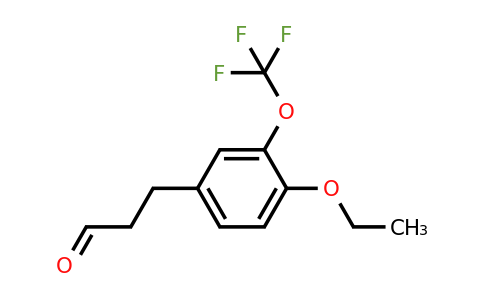 1805741-48-3 | 3-(4-Ethoxy-3-(trifluoromethoxy)phenyl)propanal