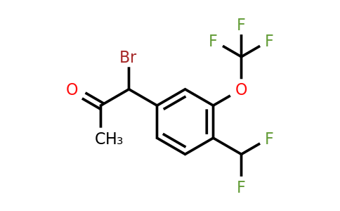 1805744-79-9 | 1-Bromo-1-(4-(difluoromethyl)-3-(trifluoromethoxy)phenyl)propan-2-one