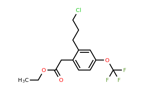 1805760-59-1 | Ethyl 2-(3-chloropropyl)-4-(trifluoromethoxy)phenylacetate