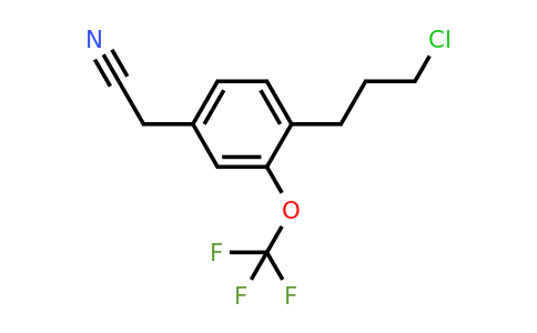 1805761-83-4 | 4-(3-Chloropropyl)-3-(trifluoromethoxy)phenylacetonitrile