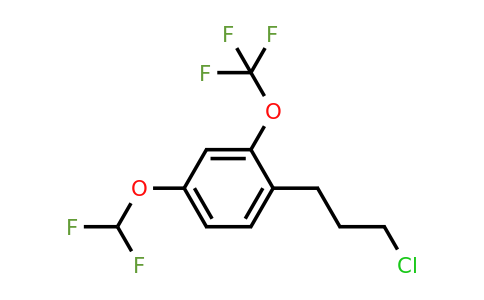 1805761-91-4 | 1-(3-Chloropropyl)-4-(difluoromethoxy)-2-(trifluoromethoxy)benzene