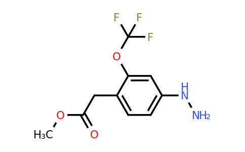 1805764-64-0 | Methyl 4-hydrazinyl-2-(trifluoromethoxy)phenylacetate