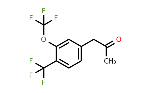 1805765-55-2 | 1-(3-(Trifluoromethoxy)-4-(trifluoromethyl)phenyl)propan-2-one