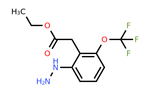 1805765-64-3 | Ethyl 2-hydrazinyl-6-(trifluoromethoxy)phenylacetate