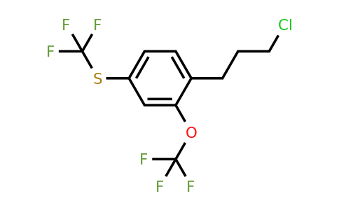 1805766-30-6 | 1-(3-Chloropropyl)-2-(trifluoromethoxy)-4-(trifluoromethylthio)benzene
