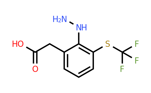 1805816-65-2 | 2-Hydrazinyl-3-(trifluoromethylthio)phenylacetic acid