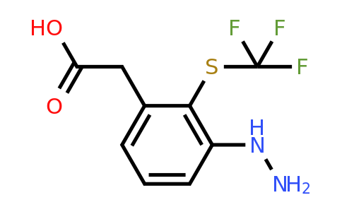 1805821-56-0 | 3-Hydrazinyl-2-(trifluoromethylthio)phenylacetic acid