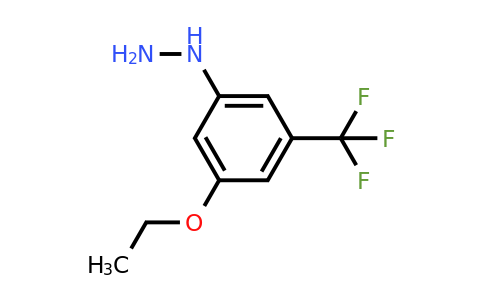 1805847-55-5 | 1-(3-Ethoxy-5-(trifluoromethyl)phenyl)hydrazine