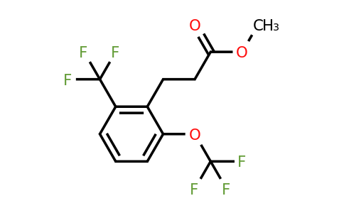 1805852-25-8 | Methyl 3-(2-(trifluoromethoxy)-6-(trifluoromethyl)phenyl)propanoate