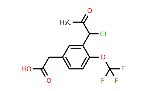 1805854-62-9 | 3-(1-Chloro-2-oxopropyl)-4-(trifluoromethoxy)phenylacetic acid