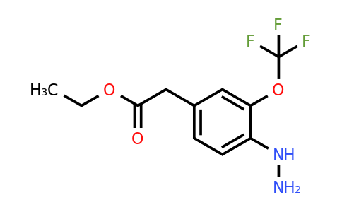 1805856-26-1 | Ethyl 4-hydrazinyl-3-(trifluoromethoxy)phenylacetate