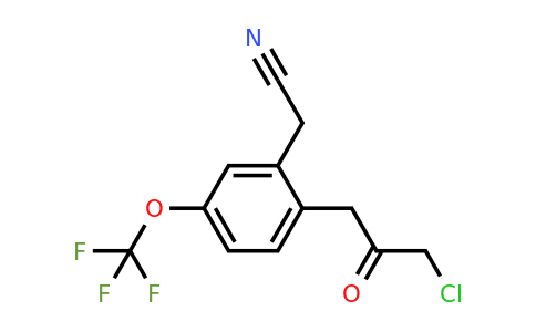 1805856-38-5 | 2-(3-Chloro-2-oxopropyl)-5-(trifluoromethoxy)phenylacetonitrile