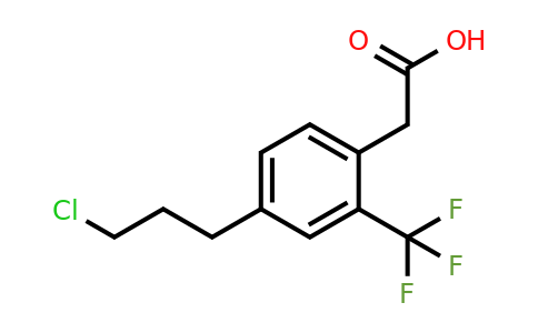 1805858-89-2 | 4-(3-Chloropropyl)-2-(trifluoromethyl)phenylacetic acid