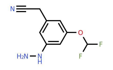 1805886-22-9 | 3-(Difluoromethoxy)-5-hydrazinylphenylacetonitrile