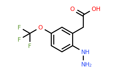 1805887-11-9 | 2-Hydrazinyl-5-(trifluoromethoxy)phenylacetic acid