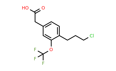 1805887-36-8 | 4-(3-Chloropropyl)-3-(trifluoromethoxy)phenylacetic acid