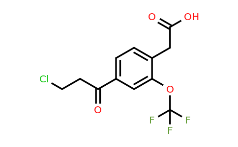 1805887-76-6 | 4-(3-Chloropropanoyl)-2-(trifluoromethoxy)phenylacetic acid