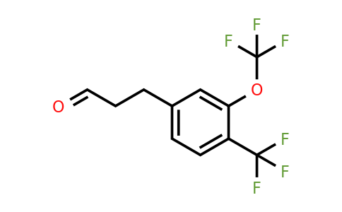 1805891-09-1 | 3-(3-(Trifluoromethoxy)-4-(trifluoromethyl)phenyl)propanal