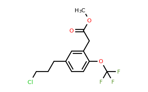 1805891-67-1 | Methyl 5-(3-chloropropyl)-2-(trifluoromethoxy)phenylacetate