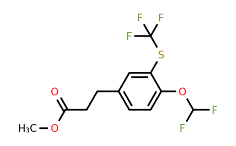 1805892-06-1 | Methyl 3-(4-(difluoromethoxy)-3-(trifluoromethylthio)phenyl)propanoate