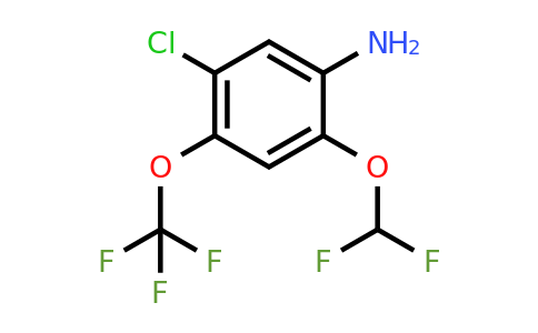 1805951-61-4 | 5-Chloro-2-difluoromethoxy-4-(trifluoromethoxy)aniline