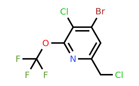 1806080-15-8 | 4-Bromo-3-chloro-6-(chloromethyl)-2-(trifluoromethoxy)pyridine