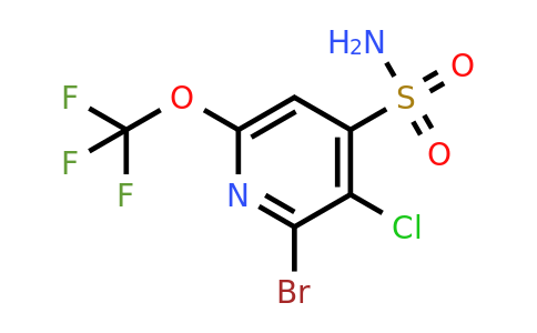 2-Bromo-3-chloro-6-(trifluoromethoxy)pyridine-4-sulfonamide