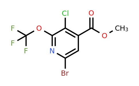 1806226-06-1 | Methyl 6-bromo-3-chloro-2-(trifluoromethoxy)pyridine-4-carboxylate