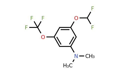 1806274-32-7 | 1-Difluoromethoxy-3-dimethylamino-5-(trifluoromethoxy)benzene