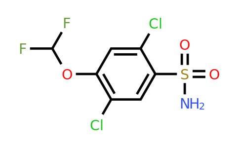 1806275-29-5 | 2,5-Dichloro-4-(difluoromethoxy)benzenesulfonamide