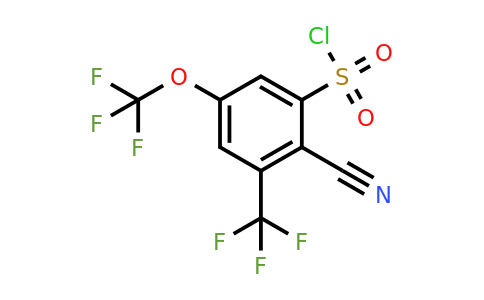 1806277-63-3 | 2-Cyano-5-trifluoromethoxy-3-(trifluoromethyl)benzenesulfonylchloride