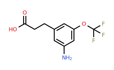1806295-48-6 | 3-(3-Amino-5-(trifluoromethoxy)phenyl)propanoic acid