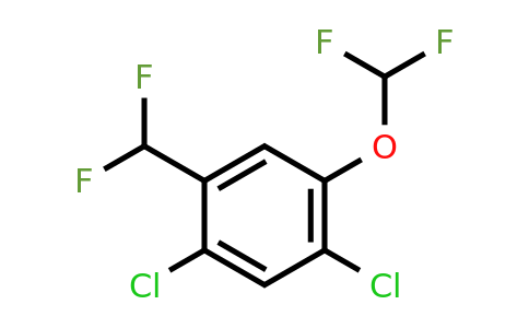 1806296-73-0 | 2,4-Dichloro-5-(difluoromethoxy)benzodifluoride