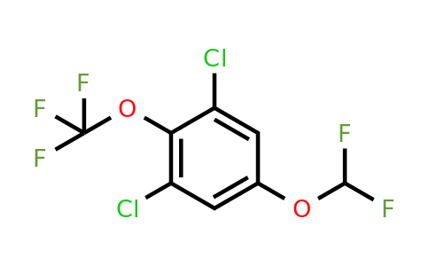 1806302-16-8 | 1,3-Dichloro-5-difluoromethoxy-2-(trifluoromethoxy)benzene