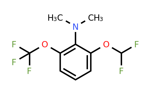 1806314-98-6 | 1-Difluoromethoxy-2-dimethylamino-3-(trifluoromethoxy)benzene
