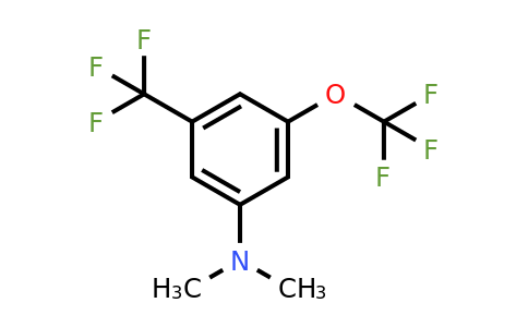 1806316-81-3 | 3-Dimethylamino-5-(trifluoromethoxy)benzotrifluoride