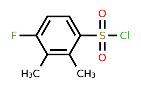 1806322-25-7 | 2,3-Dimethyl-4-fluorobenzenesulfonyl chloride
