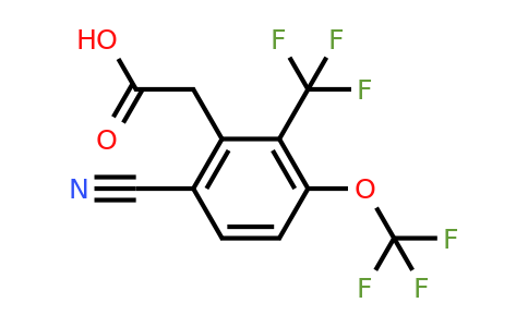 1806325-87-0 | 6-Cyano-3-trifluoromethoxy-2-(trifluoromethyl)phenylacetic acid