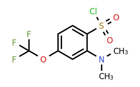 1806346-19-9 | 2-Dimethylamino-4-(trifluoromethoxy)benzenesulfonylchloride